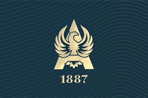 Newdesign
